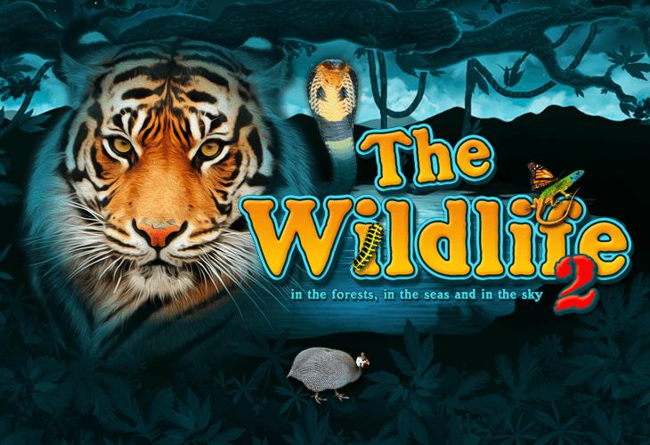 The Wildlife 2 Slot